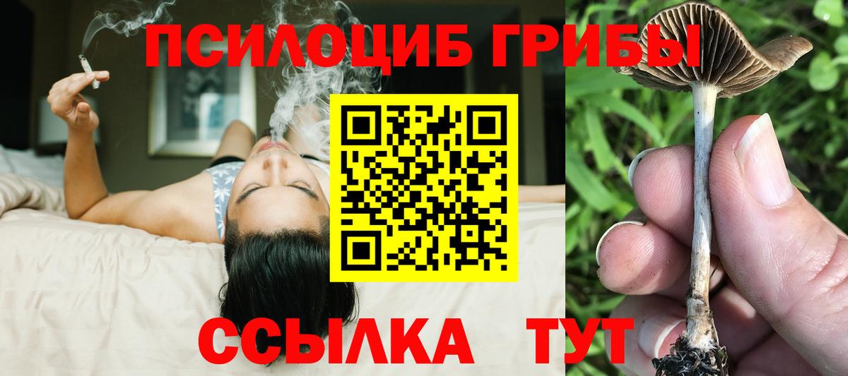 цена   Псилоцибиновые грибы Magic Shrooms  Вход с VPN  Мурманск 